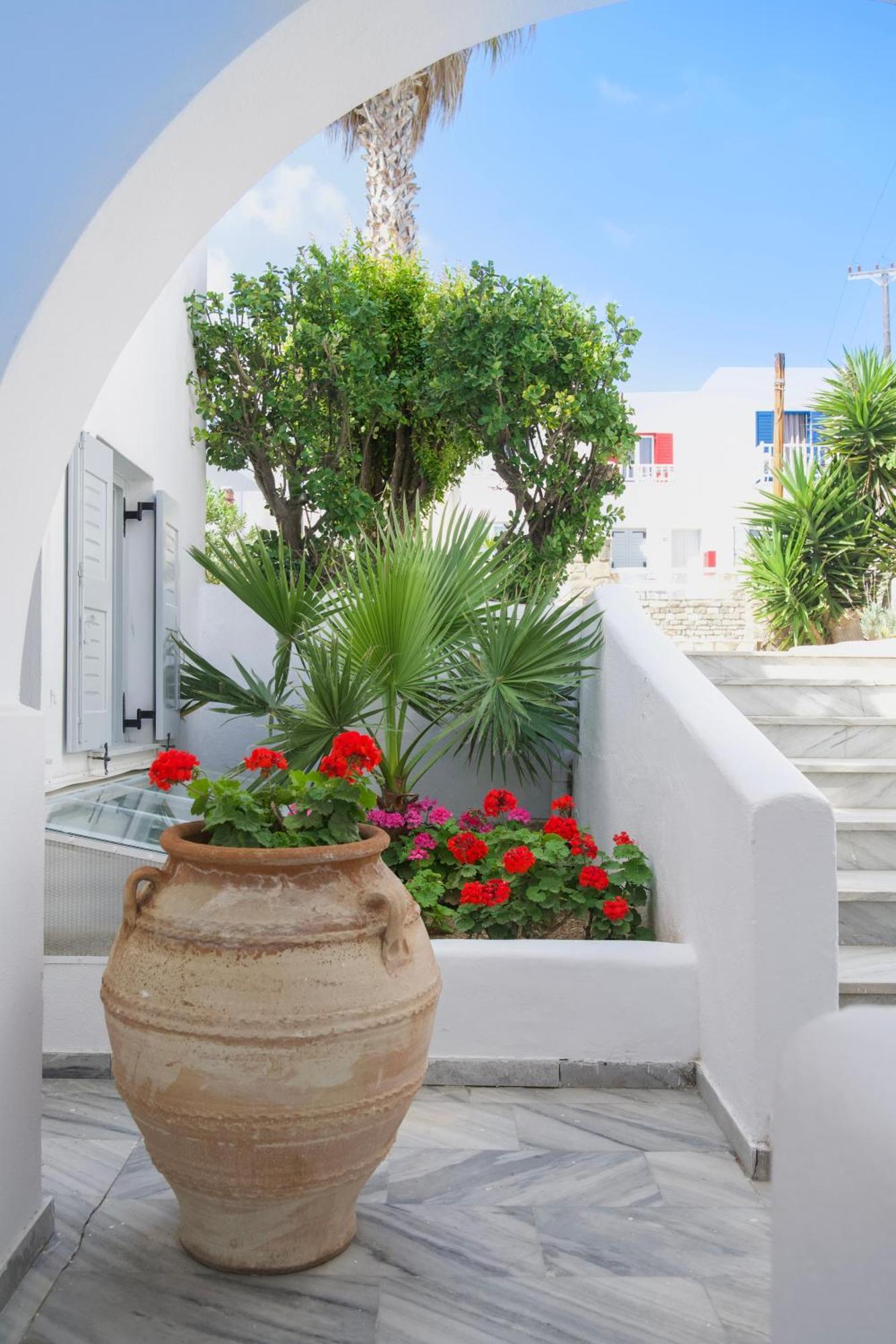 נאוסה Summer Shades Hotel - Ex Arkoulis מראה חיצוני תמונה